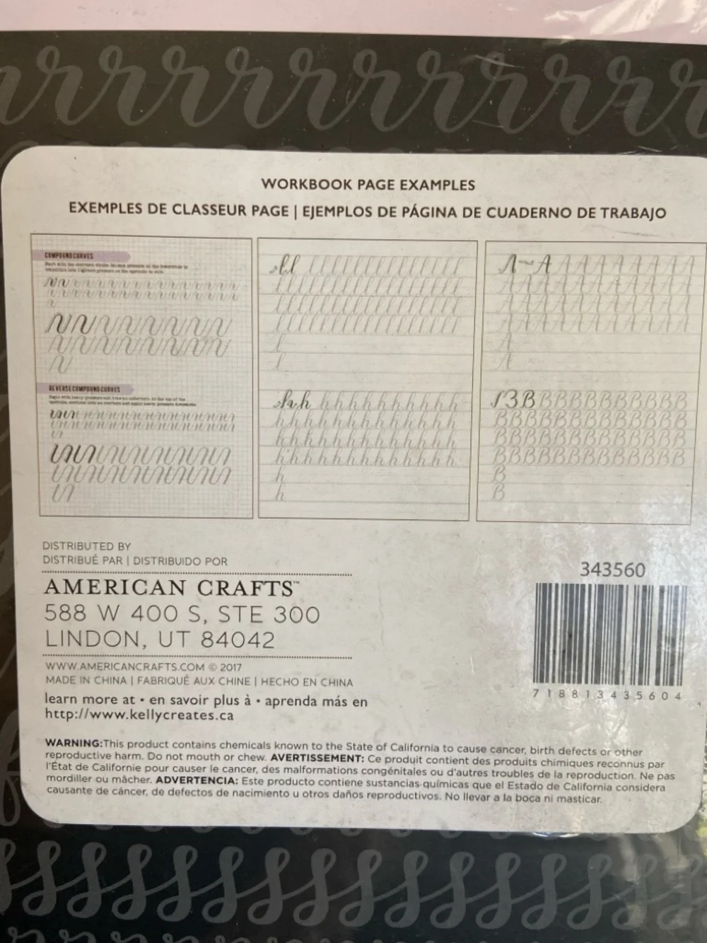 💜 American Crafts Kelly Creates Learn Brush Lettering Workbook NEW Small Brush